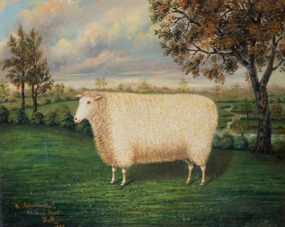 A Prize Sheep of the Old Lincoln Breed by W. Adamson